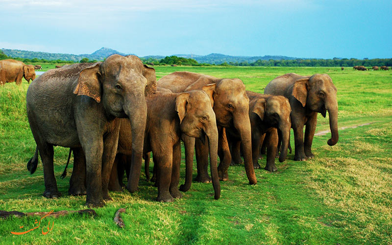 پارک های ملی سریلانکا