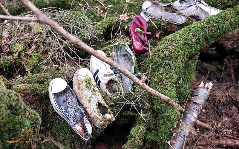 بخشی در جنگل خودکشی بخشی در جنگل خودکشی