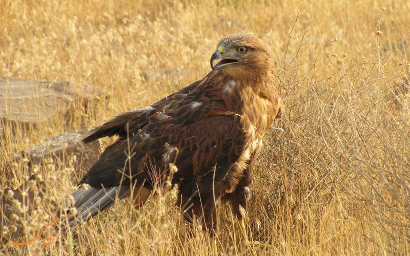 پارک ملی خجیر