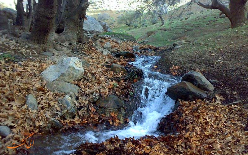 پارک ملی بختگان
