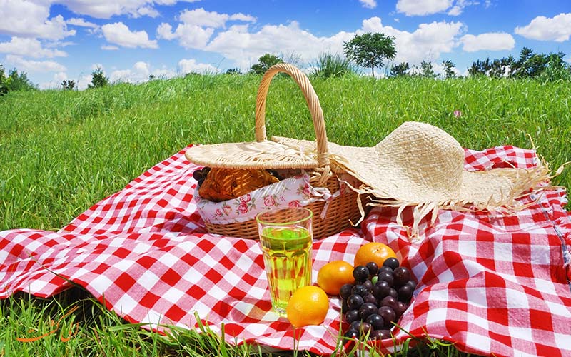 سفر یک روزه به اطراف شهر