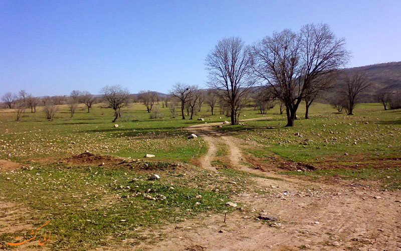 پارک های جنگلی ایران