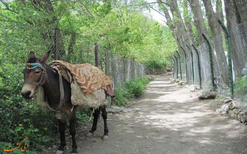 روستای شکراب روستای شکراب