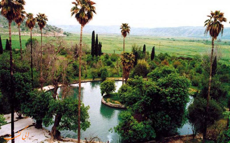 جاذبه های تماشایی