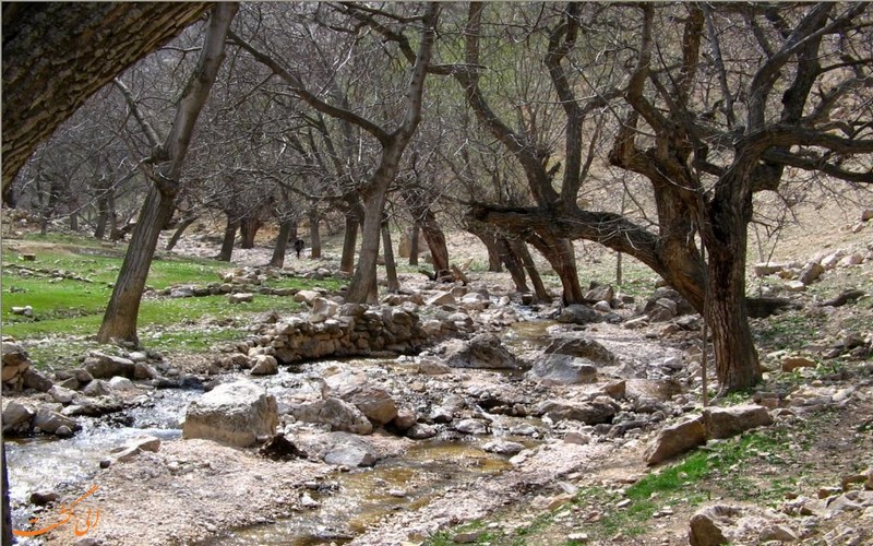 طبیعت روستای اخلمد