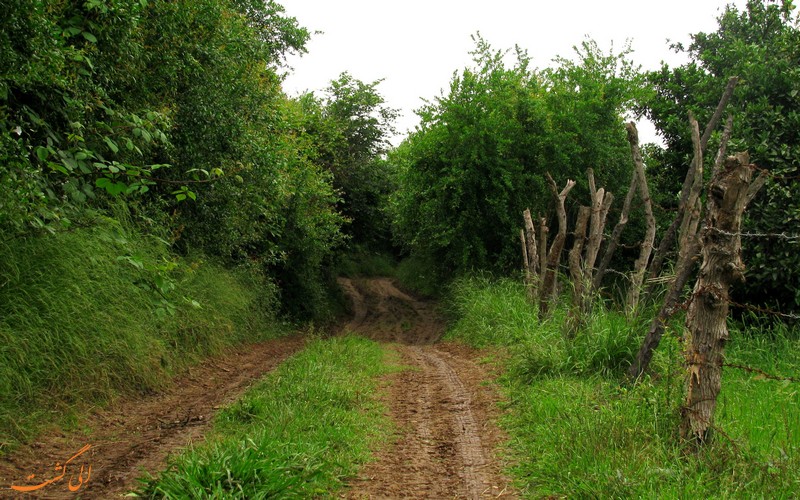 روستای کوتنا قائم شهر روستای کوتنا قائم شهر