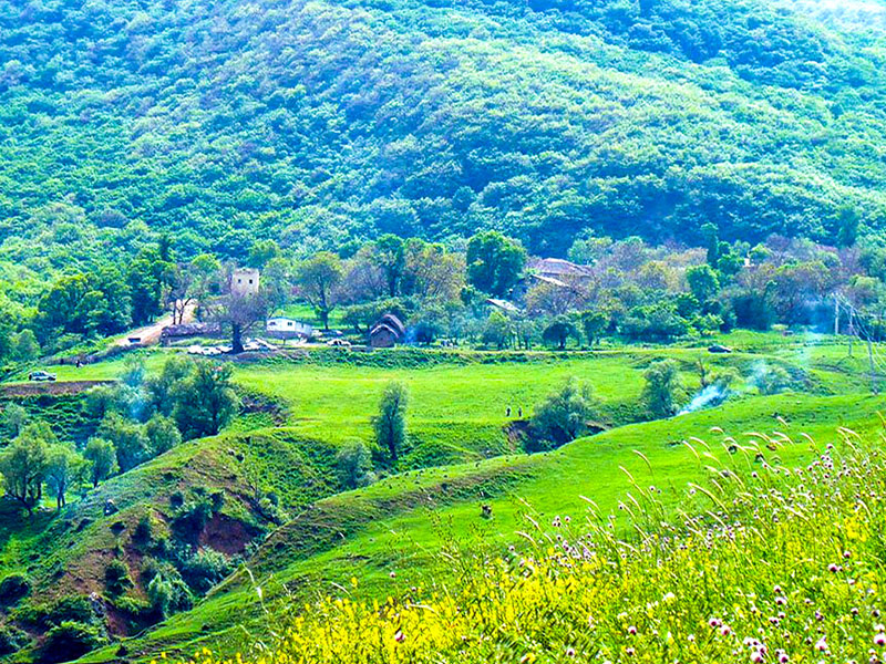 جنگل روستای افجه - جنگل های اطراف تهران - الی گشت