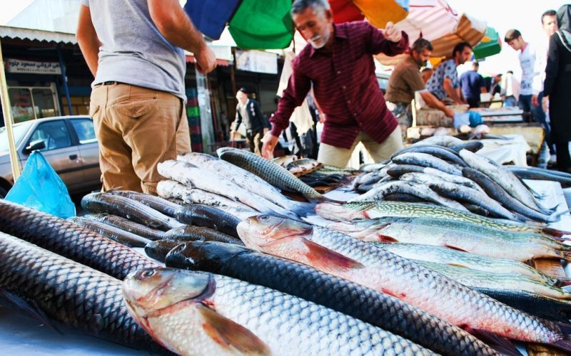 بازار ماهی فروشان در بندر انزلی