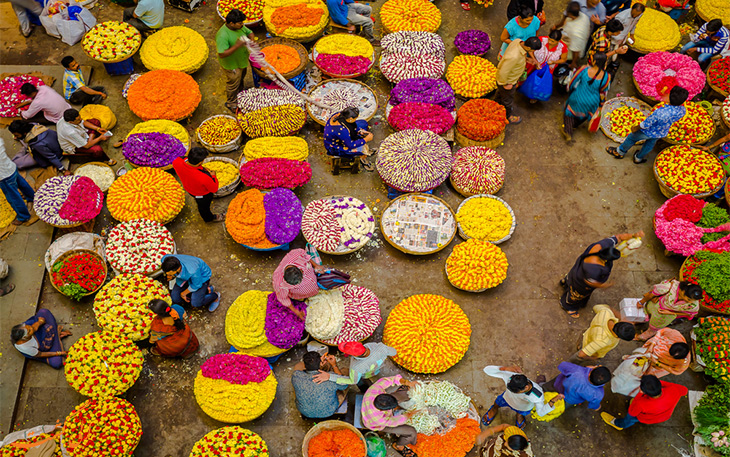 مشهورترین بازارهای گل هند