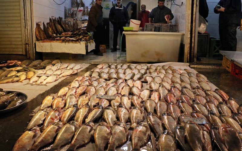 بازار ماهی در انزلی