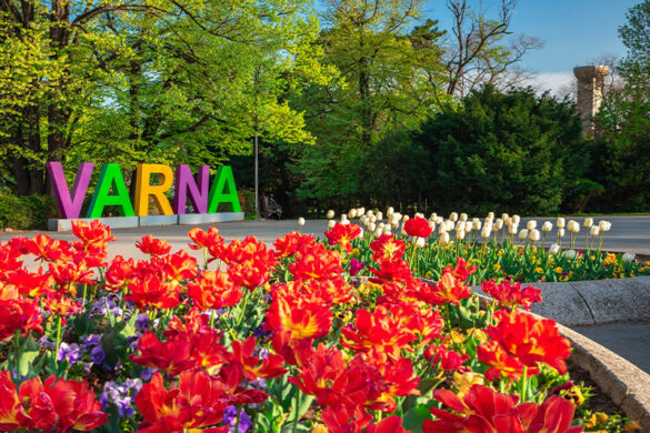 باغ دریایی وارنا