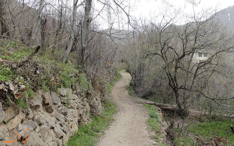 برگ جهان برگ جهان