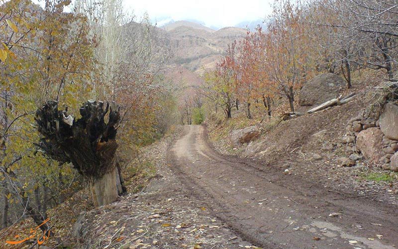 جاده ورودی به سمت روستای افجه جاده ورودی به سمت روستای افجه