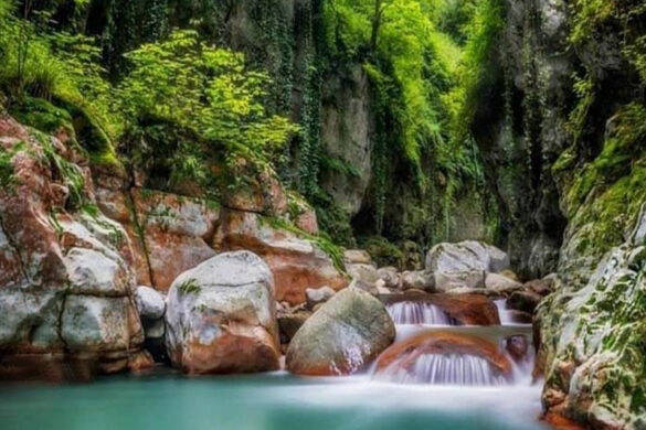 تنگ دار نوشهر