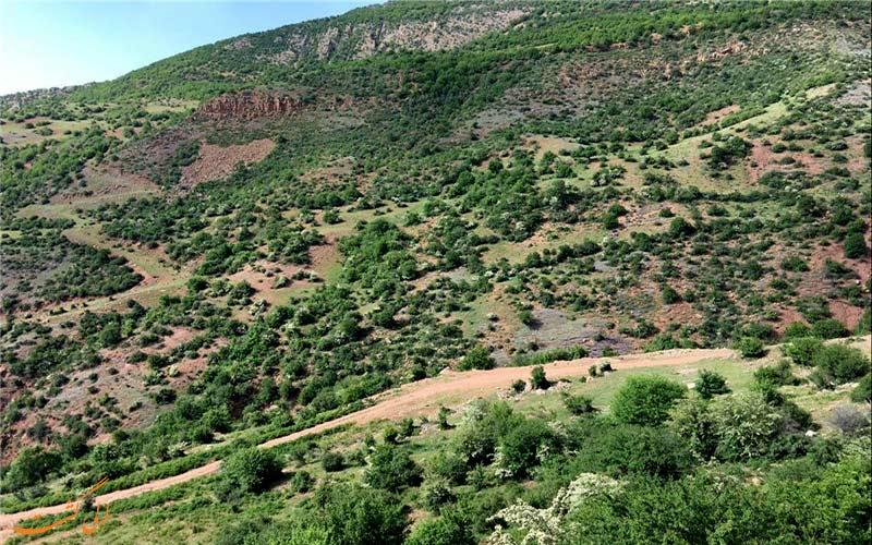 پارک-ملی-پابند-پارک های ملی ایران