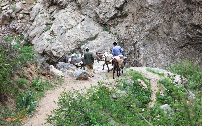 مناظر اطراف روستای پراچان