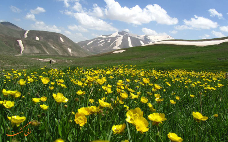 سهند