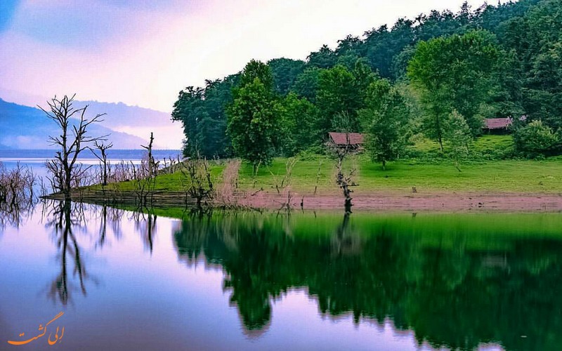 منطقه سرسبز لفور