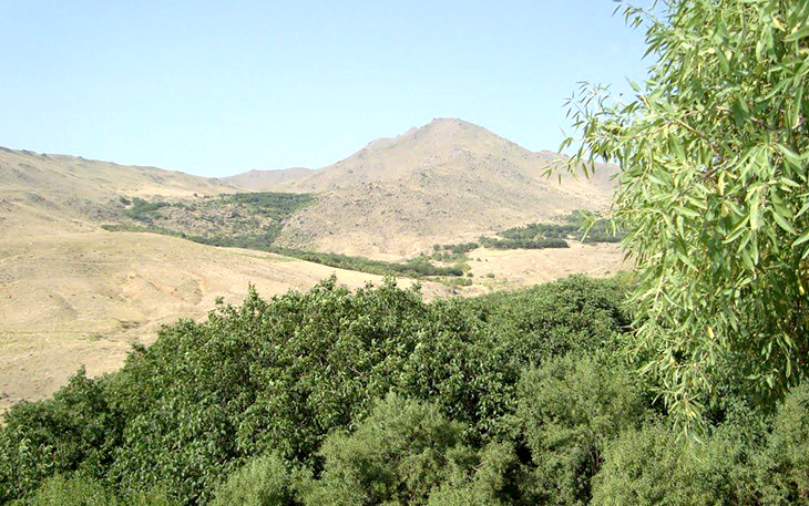 شهرستان تویسرکان