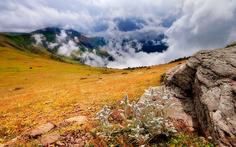 ییلاق زیبای مازیچال ییلاق زیبای مازیچال