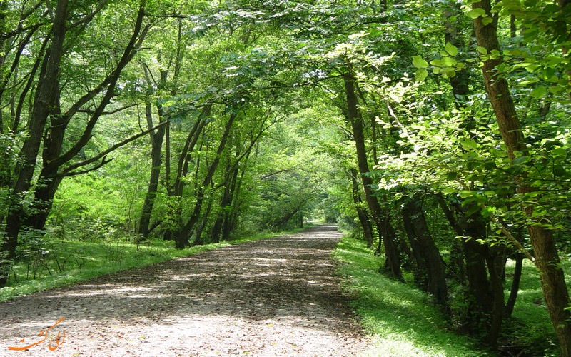 پارک جنگلی نور استان مازندران پارک جنگلی نور استان مازندران