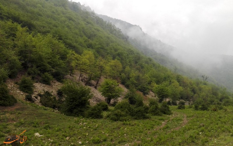 طبیعت زیبای روستای لاویج طبیعت زیبای روستای لاویج