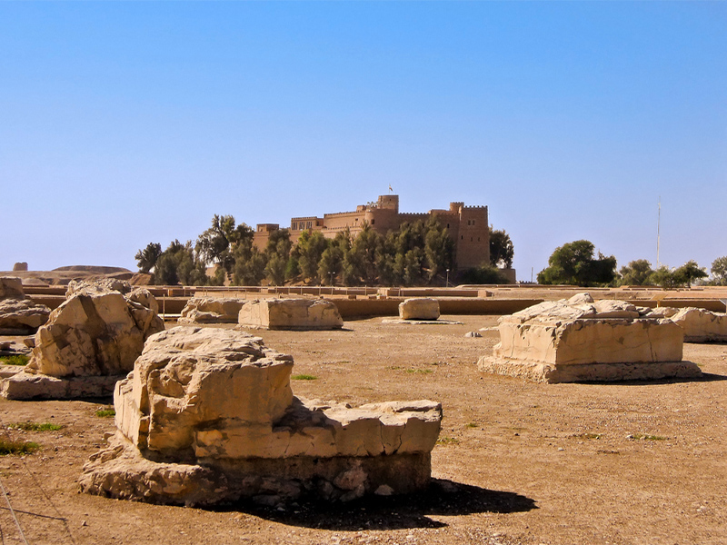 شهر باستانی شوش - الی گشت
