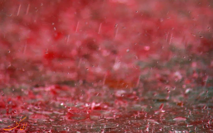 بارش باران قرمز