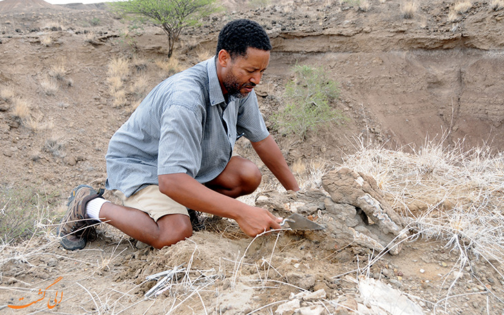 محوطه کشف فسیل در اتیوپی