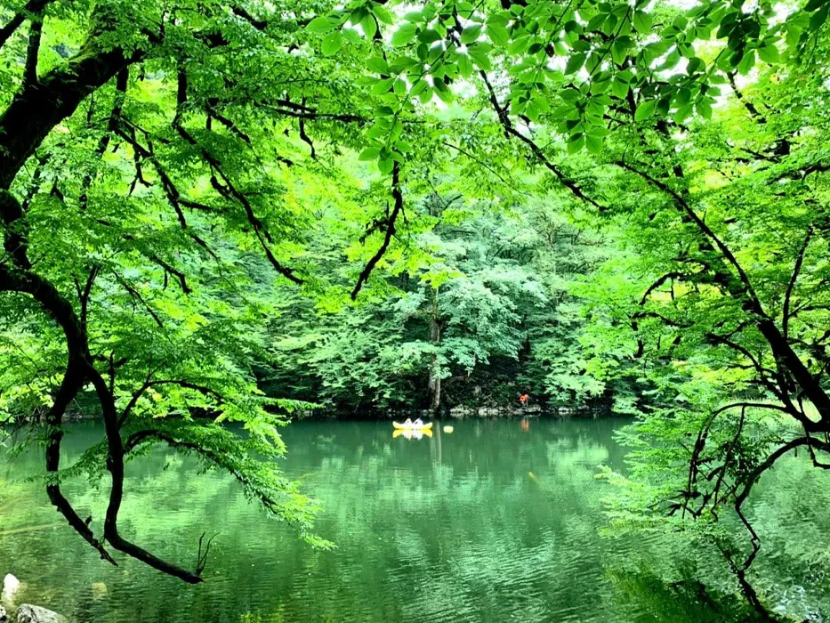 دریاچه فراخین