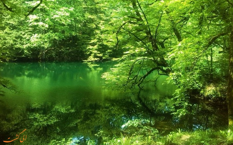 دریاچه فراخین در دل طبیعت