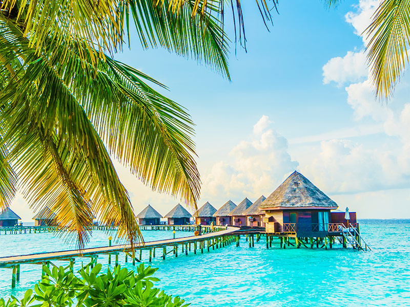 بهترین هتل های مالدیو - الی گشت