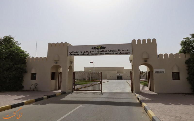 موزه تاریخ طبیعی شارجه موزه تاریخ طبیعی شارجه