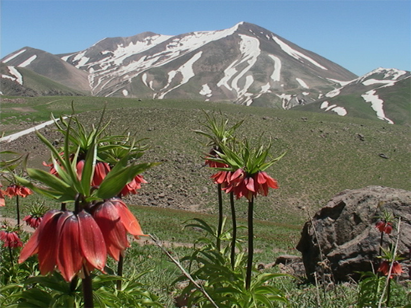طبیعت گردی در ایران