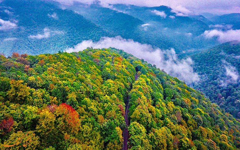 اسالم