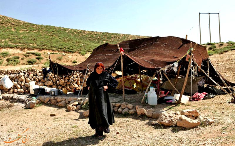 زردکوه