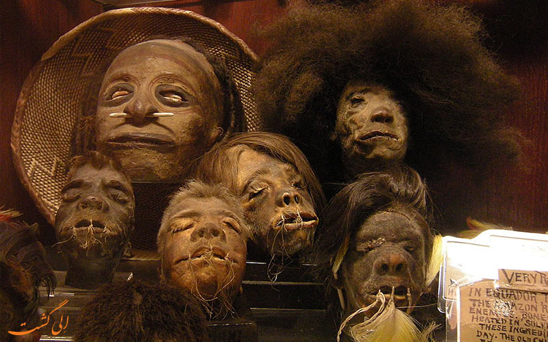 سر کوچک شده انسان- قبیله جیوارو