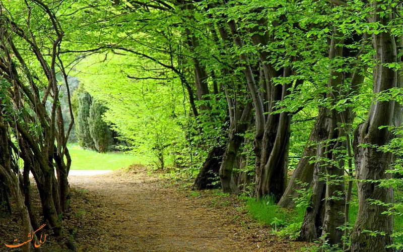 ثبت جهانی جنگل های هیرکانی ثبت جهانی جنگل های هیرکانی