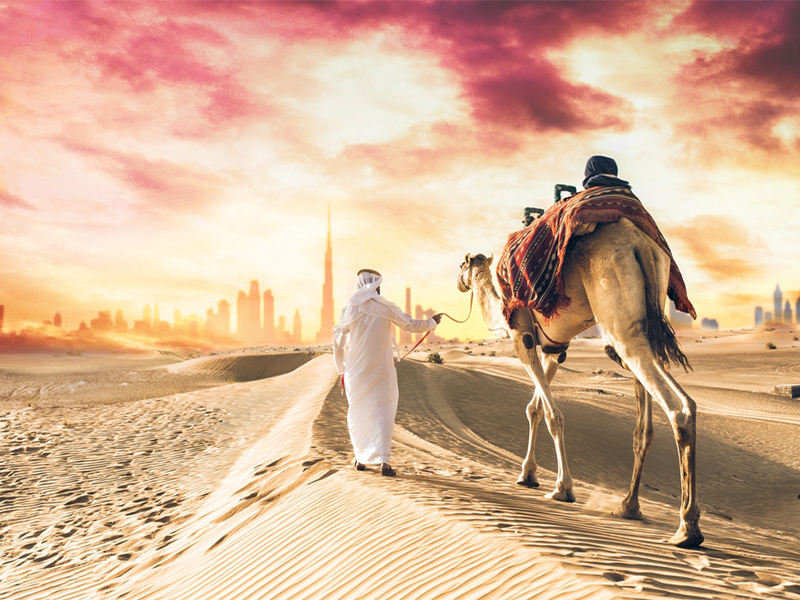 سافاری دبی