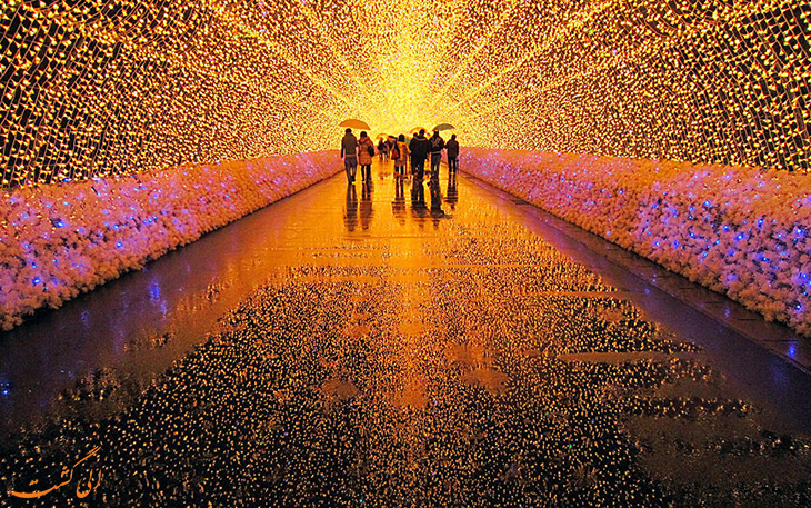 Lighting Festival in Japan