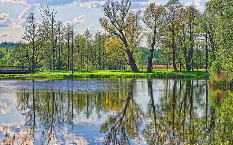 پارک ملی Białowieża