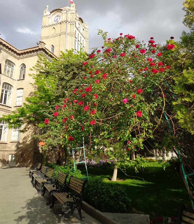 موزه کفش تبریز موزه کفش تبریز