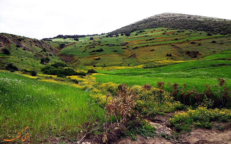 مزایای ارتباط با طبیعت