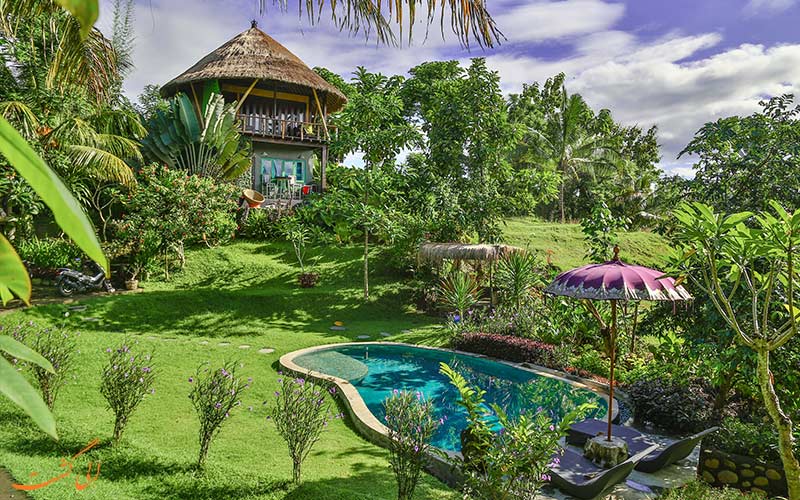 هتل های جنگلی بالی