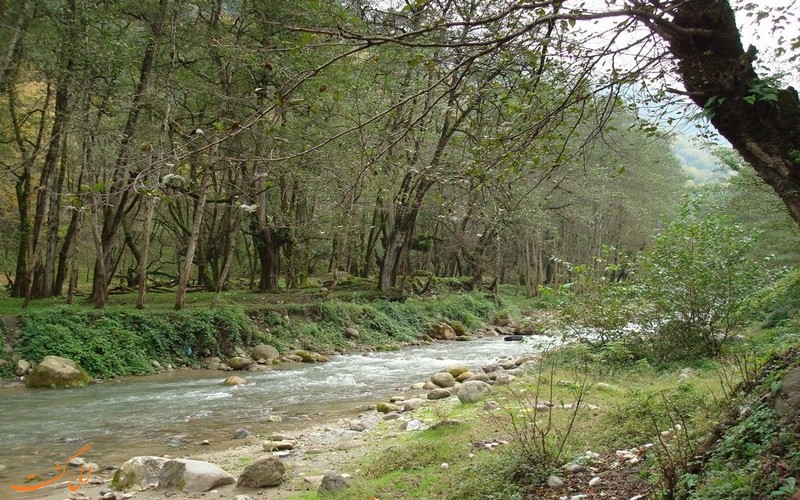پارک جنگلی چالوس پارک جنگلی چالوس
