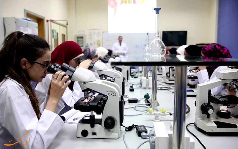 کالج داروسازی دبی-داروهای ممنوعه در سفر به امارات