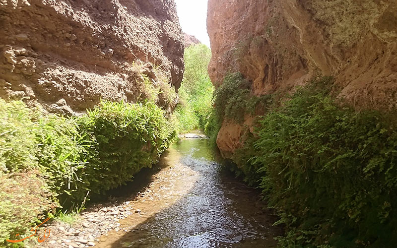 شنا در قاهان