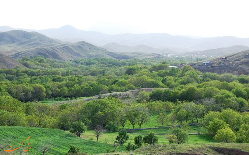 دشت قاهان