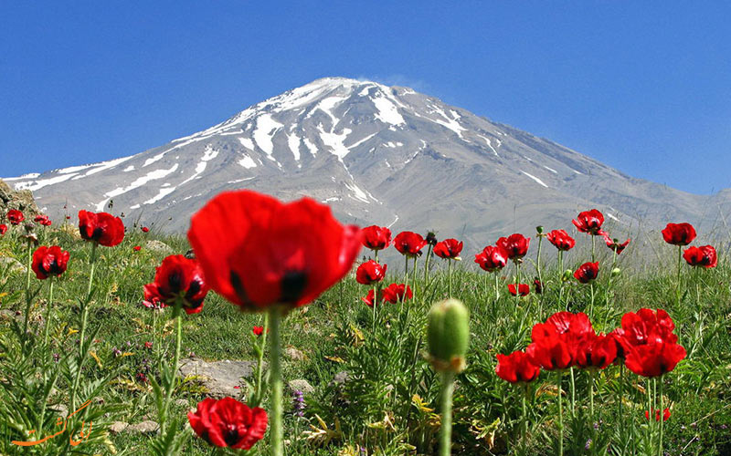 کوه دماوند در ایران