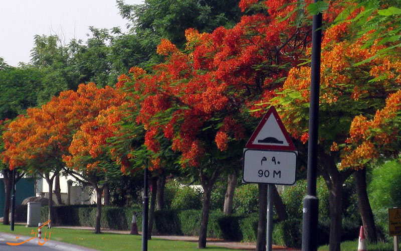 دبی دبی